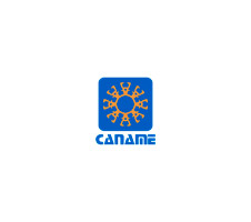 04-caname